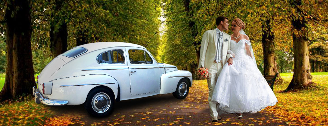 Home - My Wedding Car | Cape Town South africa